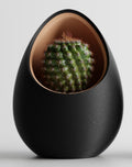Minimalist Egg Planter | Modern Indoor Vase | Logun Gifts