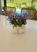 Heart in Hands Planter – The Perfect Eco-Friendly Gift That Speaks Love | Unique Sustainable Home Decor UK