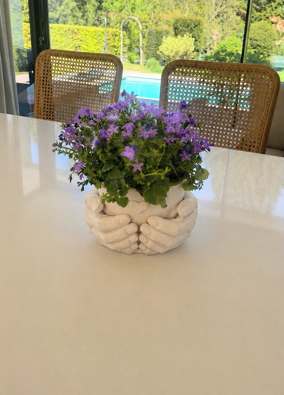 Heart in Hands Planter – The Perfect Eco-Friendly Gift That Speaks Love | Unique Sustainable Home Decor UK