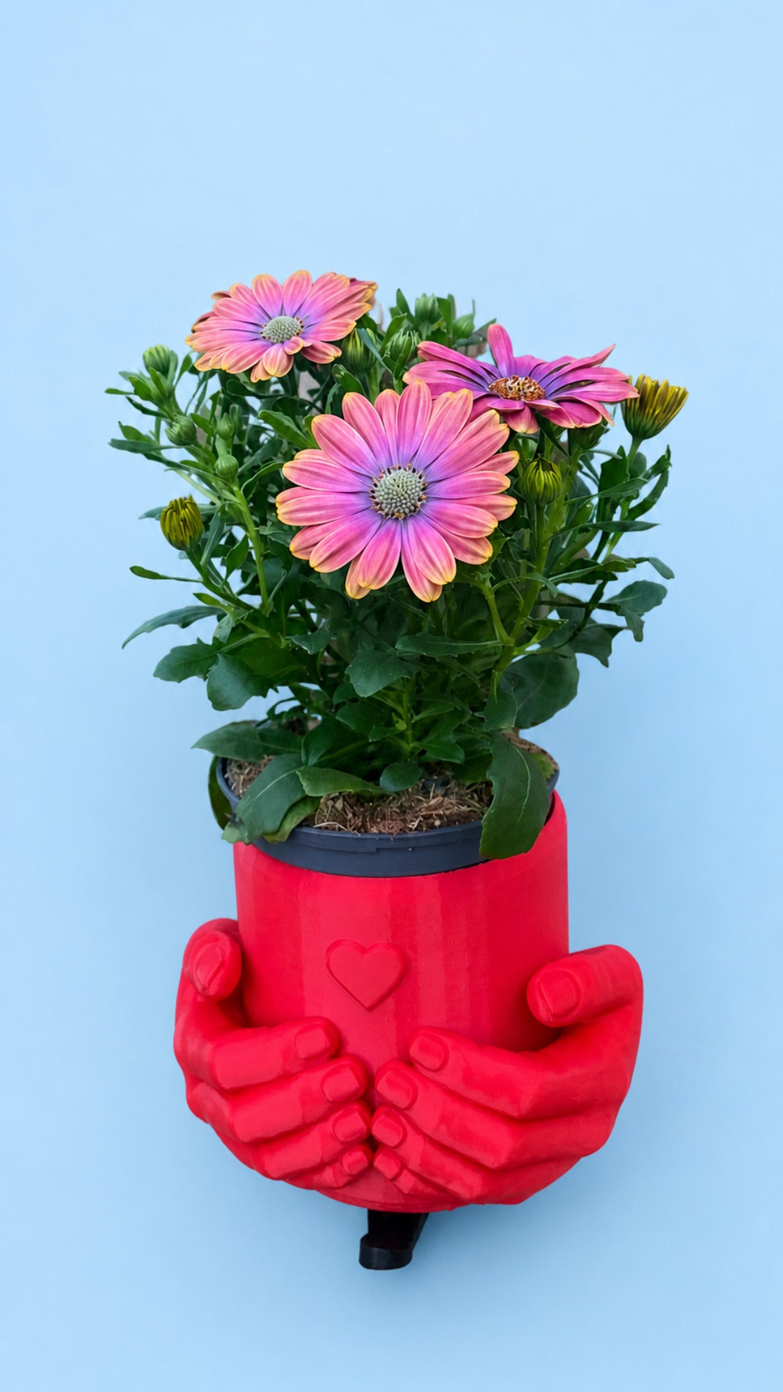 Heart in Hands Planter – The Perfect Eco-Friendly Gift That Speaks Love | Unique Sustainable Home Decor UK